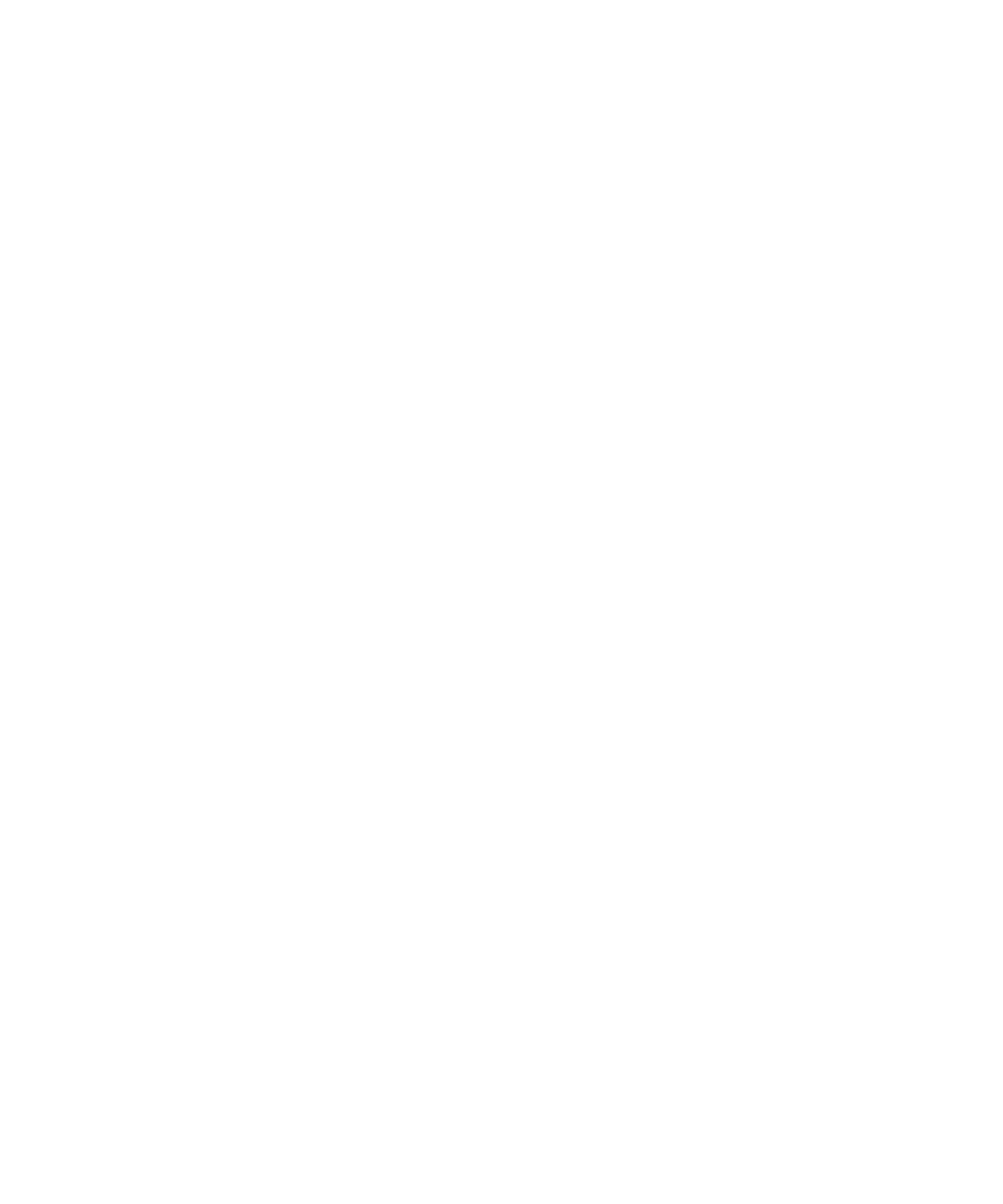 NOLAP Logo